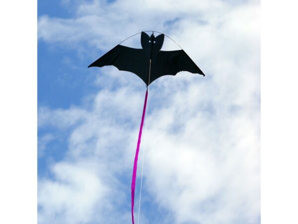 bat sm2 1200x900 1 - Kites Ireland